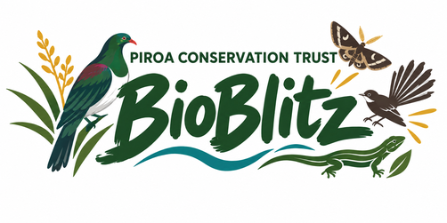 Piroa Conservation Trust BioBlitz logo